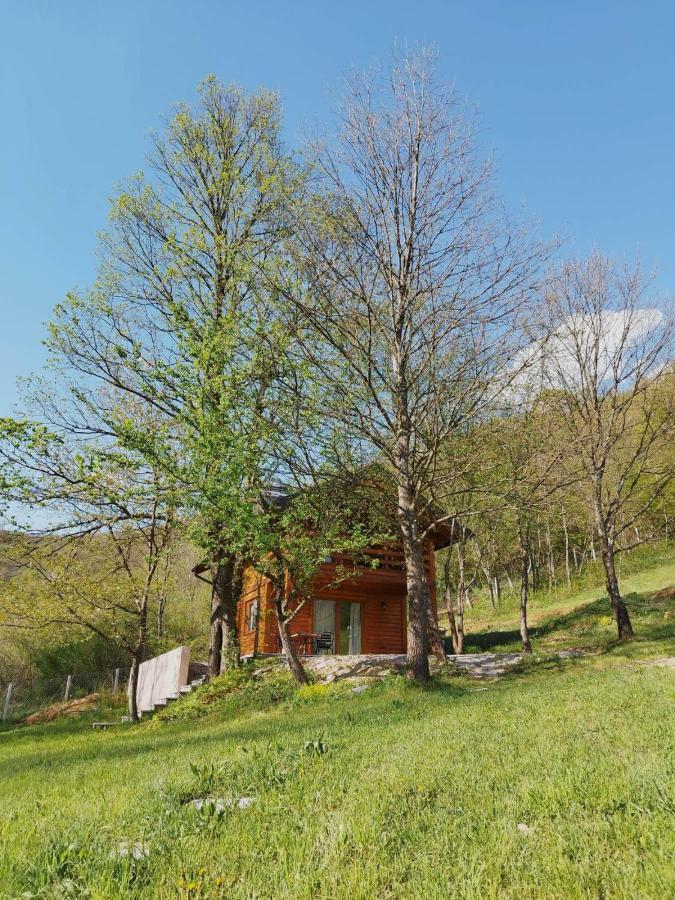 Kuca U Sumi - Forest House Near National Park Una - Air Spa Lohovo Bihać Εξωτερικό φωτογραφία