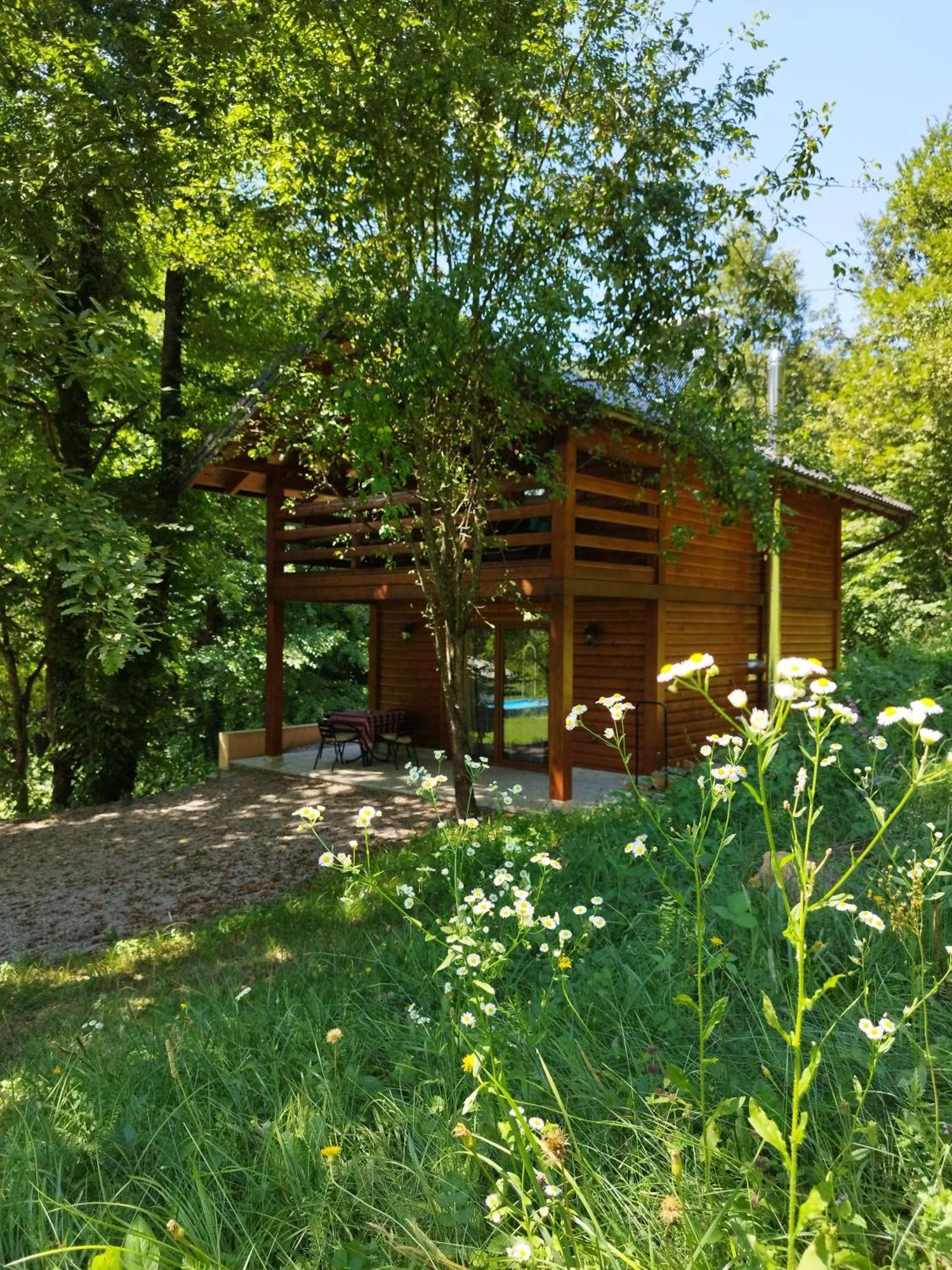 Kuca U Sumi - Forest House Near National Park Una - Air Spa Lohovo Bihać Εξωτερικό φωτογραφία